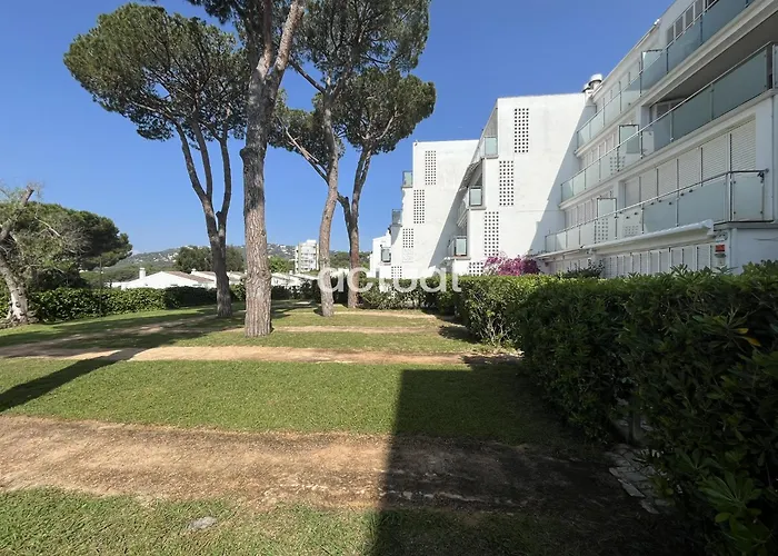 Apartment Politur K-5